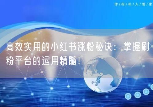 高效实用的小红书涨粉秘诀：掌握刷粉平台的运用精髓！